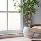 可変性と地域性